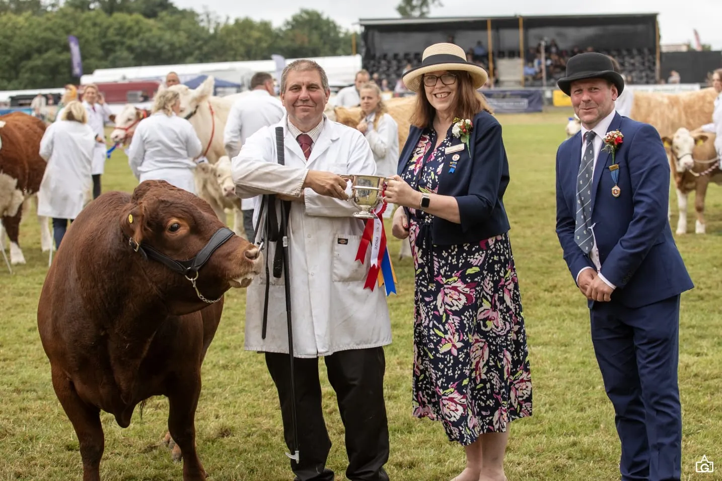 Special Customer Mention – Stonemill Farm and their Champion Dexters ...